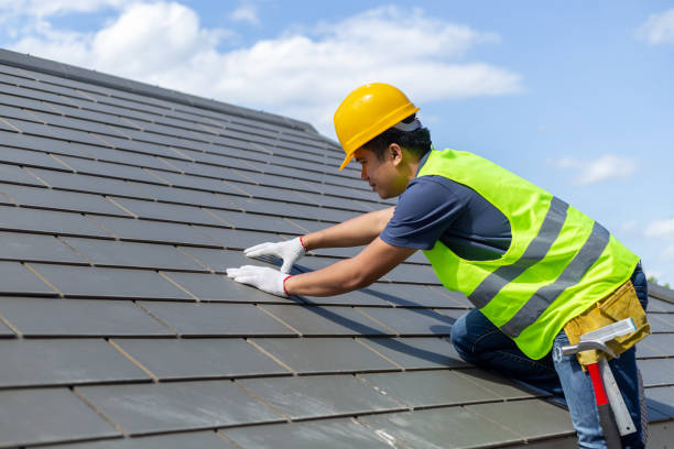 Best Roof Gutter Cleaning  in Trinity, TX