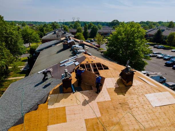 Best Flat Roof Repair Services  in Trinity, TX