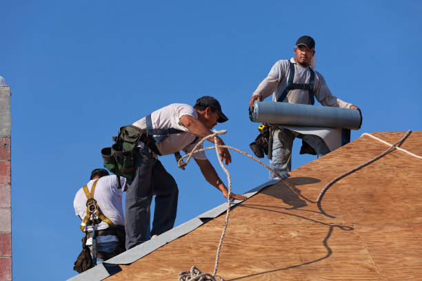 Best Roof Waterproofing Services  in Trinity, TX